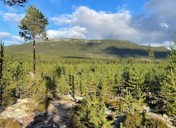 sweden/vemdalen/attraction/naturstigen-vemdalen-by
