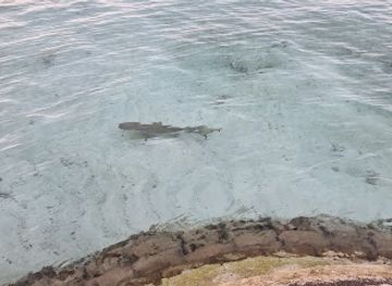 maldives/guraidhoo/attraction/blue-point