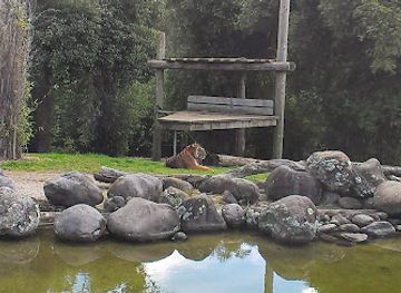 new-zealand/hamilton/attraction/hamilton-zoo