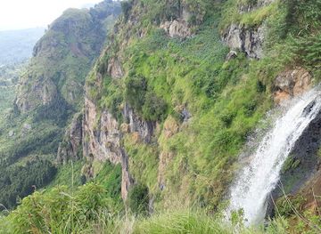 uganda/elgon/attraction/wanale