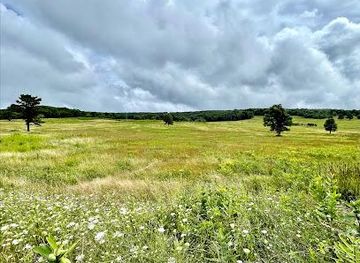 virginia/harrisonburg/attraction/big-meadows