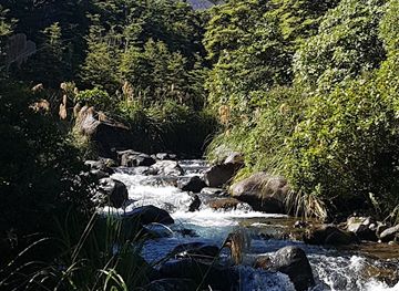 new-zealand/manawatu-wanganui/attraction/whakapapa-nature-walk