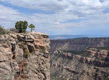 utah/moab/attraction/bull-canyon-overlook-and-dinosaur-track-site