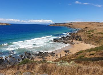 australia/fleurieu-peninsula/attraction/the-bluff-encounter-bay