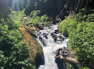 washington/northern-cascades/attraction/heliotrope-ridge-trailhead