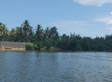 cote-d-ivoire/assinie/attraction/sanctuaire-mangroves-d-assinie