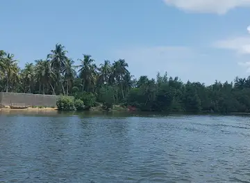 Sanctuaire Mangroves d’Assinie