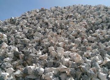 turks-and-caicos-islands/chalk-sound-national-park/attraction/caicos-conch-farm