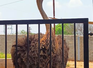 india/tamil-nadu/attraction/rajali-birds-park