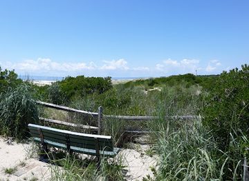 new-jersey/cape-may/attraction/south-cape-may-meadows