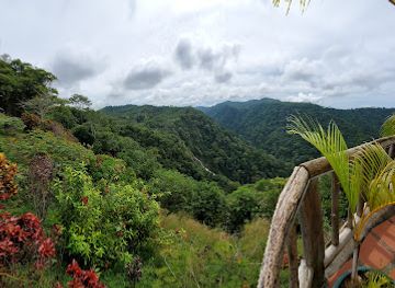 costa-rica/central-pacific/attraction/pura-vida-gardens-and-waterfall