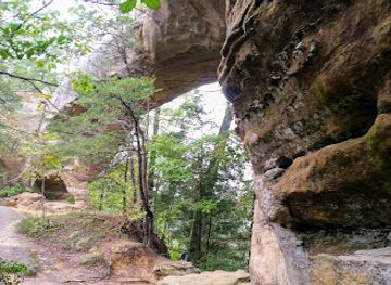 kentucky/sheltowee-trace-national-recreation-trail/attraction/clifty-wilderness