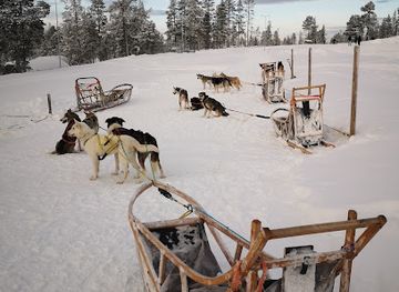 sweden/idre-fjall/attraction/adventure-dreams-dogsled