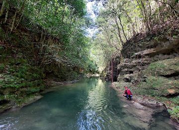 dominican-republic/cordillera-central/attraction/las-caobas-jamao-al-norte