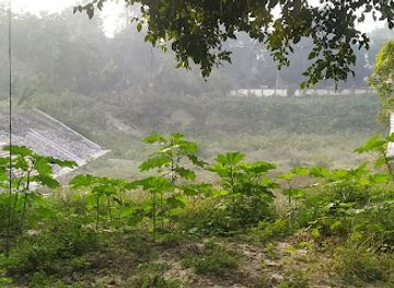 india/kanpur/attraction/wilson-lake