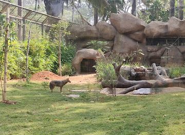 india/konkan-coast/attraction/the-mumbai-zoo-and-botanical-garden
