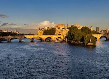 france/paris/attraction/pont-neuf