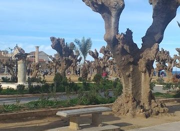 algeria/kabylia/attraction/archeological-public-museum-of-cherchell