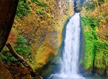 oregon/cascade-range/attraction/wahclella-falls