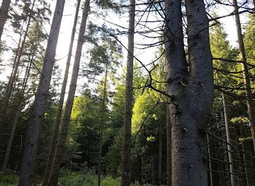 austria/flachgau/attraction/koppler-moor