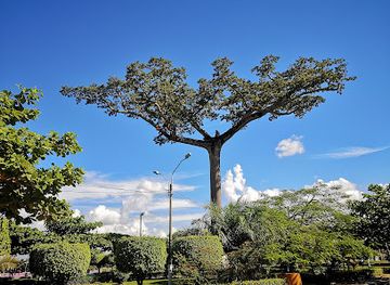 peru/ucayali/attraction/la-lupuna-park
