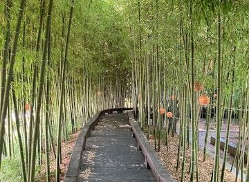 south-korea/gwangju/attraction/korea-bamboo-museum