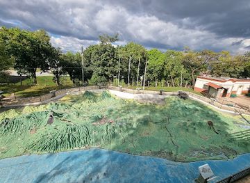 el-salvador/puerto-la-libertad/attraction/military-museum-of-the-armed-forces-of-el-salvador