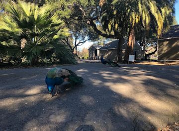 california/union-city/attraction/ardenwood-historic-farm