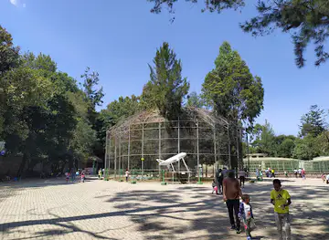 Lion Park
