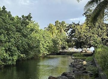 french-polynesia/papeete/attraction/source-vaima