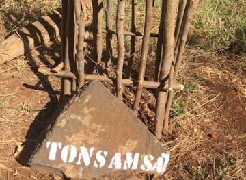 madagascar/antsiranana/attraction/baobab-a-suarezensis-tonsamsat