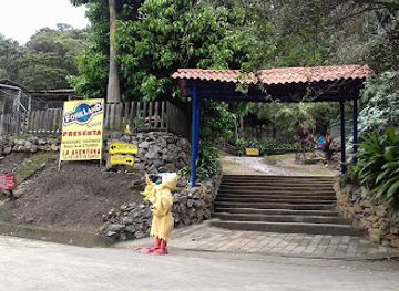 costa-rica/north-zone/attraction/fossil-land