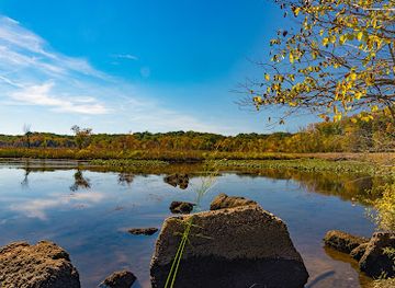 virginia/northern-virginia/attraction/dyke-marsh-wildlife-preserve