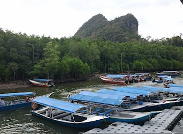 malaysia/langkawi-archipelago/attraction/gua-kelawar