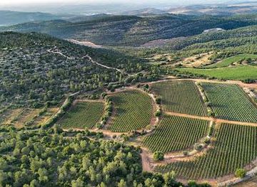 israel/bethlehem/attraction/tzora-vineyards