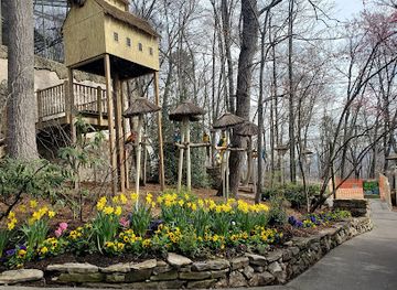 tennessee/dollywood/attraction/parrot-mountain-and-gardens