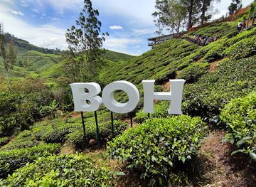 malaysia/cameron-highlands/attraction/farmers-arcade-cameron-highlands