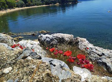 greece/mount-pelion/attraction/kato-gatzea-beach