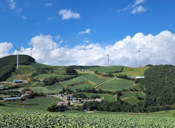 south-korea/gangneung-coastal-areas/attraction/anbandegi