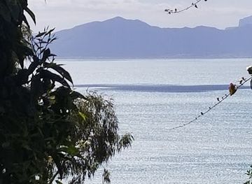 tunisia/the-djerid/attraction/national-museum-of-bardo