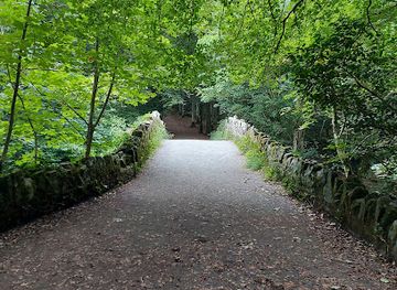 ireland/county-cavan/attraction/deerpark-forest