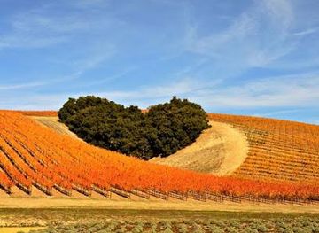 california/pismo-beach/attraction/central-coast-wine-country-ccwc
