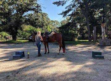 rhode-island/east-greenwich/attraction/c-and-l-stables