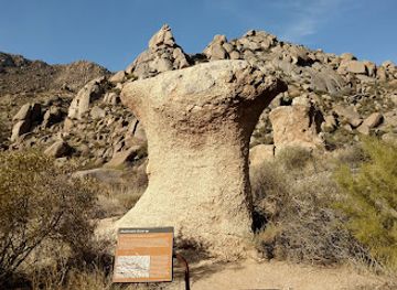 arizona/tonto-national-forest/attraction/mcdowell-mountain-regional-park