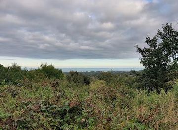 ireland/glendalough/attraction/rathmichael-wood