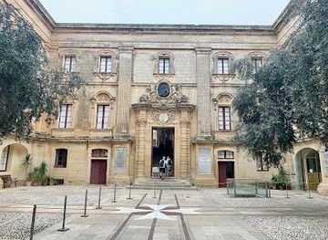 malta/bugibba/attraction/national-museum-of-natural-history