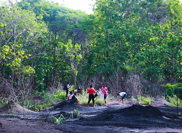 trinidad-and-tobago/siparia/attraction/moruga-tar-pitch-lake