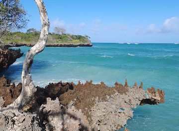 kenya/diani-beach/attraction/nature-travel-kenya