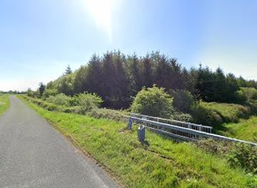 ireland/county-roscommon/attraction/roscommon-4-bog-side-bronze-shoes