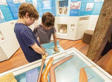 australia/sydney/attraction/the-rocks-discovery-museum